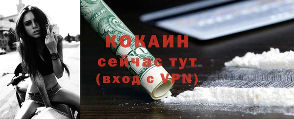 гидра Галич