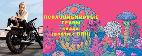 бошки Козловка