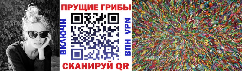 даркнет официальный сайт  Кировград  Галлюциногенные грибы мицелий 